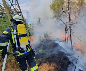 Überblick der Feuer: Wo es in Deutschland brennt