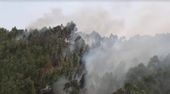 Tausende Hektar zerstört: Schwere Waldbrände wüten in Portugal