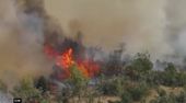 Kampf gegen die Flammen: Waldbrand in Serbien außer Kontrolle