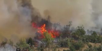 Kampf gegen die Flammen: Waldbrand in Serbien außer Kontrolle