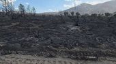Großbrand in Nevada: Hawk-Feuer vernichtet über 60 Quadratkilometer