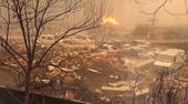 Schwere Waldbrände in Algerien: Feuer fordern mindestens zwölf Tote