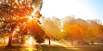 Der Herbstbeginn startet verbreitet mit viel Sonne.
