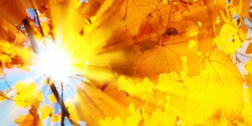 Wetter 16 Tage: Sonnenlicht und Wärme: Oktober glänzt vorerst weiter