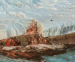 Der "blutende Gletscher" der Antarktis: Das steckt hinter den sogenannten "Blood Falls"