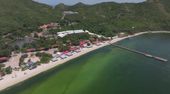 Leuchtend grünes Meer vor Thailand: Planktonblüte schreckt Touristen ab