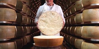 Käse in der Klimakrise: Hitzesommer belastet Parmesan-Produktion