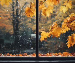 Wetter heute am Freitag: Erst Nebel, dann Regen und Sturm – es wird ungemütlich!