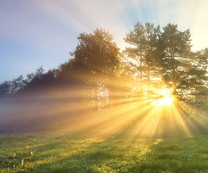 Wetter heute am Mittwoch: Nebel zwischen Saarland und Erzgebirge, Sonne im Norden - hier gibt es bis zu 20 Grad