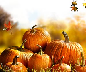 16-Tage-Trend: Sonne, Nebel und kalte Nächte – so herbstlich wird der restliche Oktober