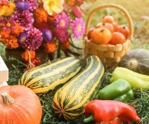 Obst und Gemüse im Herbst: Worauf es beim Einkauf ankommt