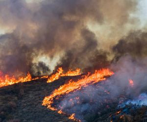 Waldbrände in Kalifornien: Tausende Menschen müssen Häuser verlassen