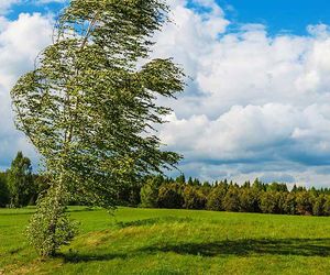 Wetter heute am Freitag: Vorsicht! Sturmtief ab Nachmittag deutlich spürbar