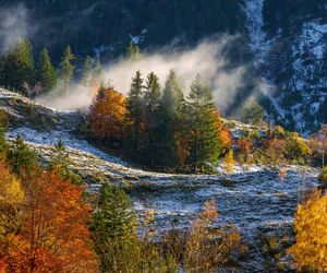 16-Tage-Trend: Zwischen goldenen Herbsttagen und ersten Schneeflocken