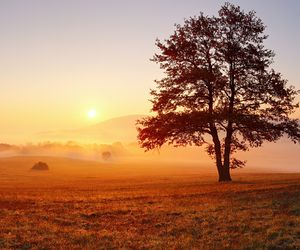 Wochenwetter: Nebel, Sonne, Wärme – Goldener Oktober mit bis zu 21 Grad