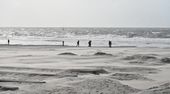 Sturm MANJA an der Nordsee: Strandspaziergänger trotzen heftigen Böen