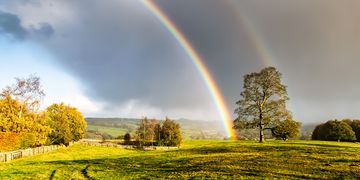 Am Mittwoch zeigt sich die Sonne, doch in ein paar Regionen wird es trüb.