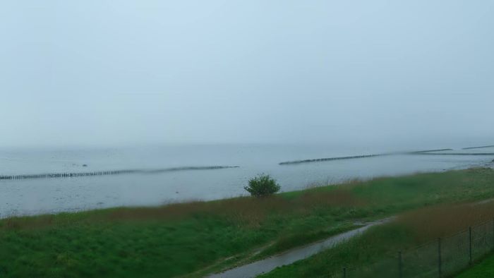 HD Live Webcam Amrum - Nebel - Salzwiesen